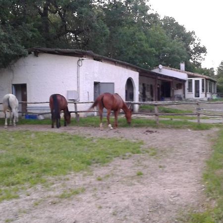 Ferme Equestre Des Abrons Villa Pailloles Exteriör bild