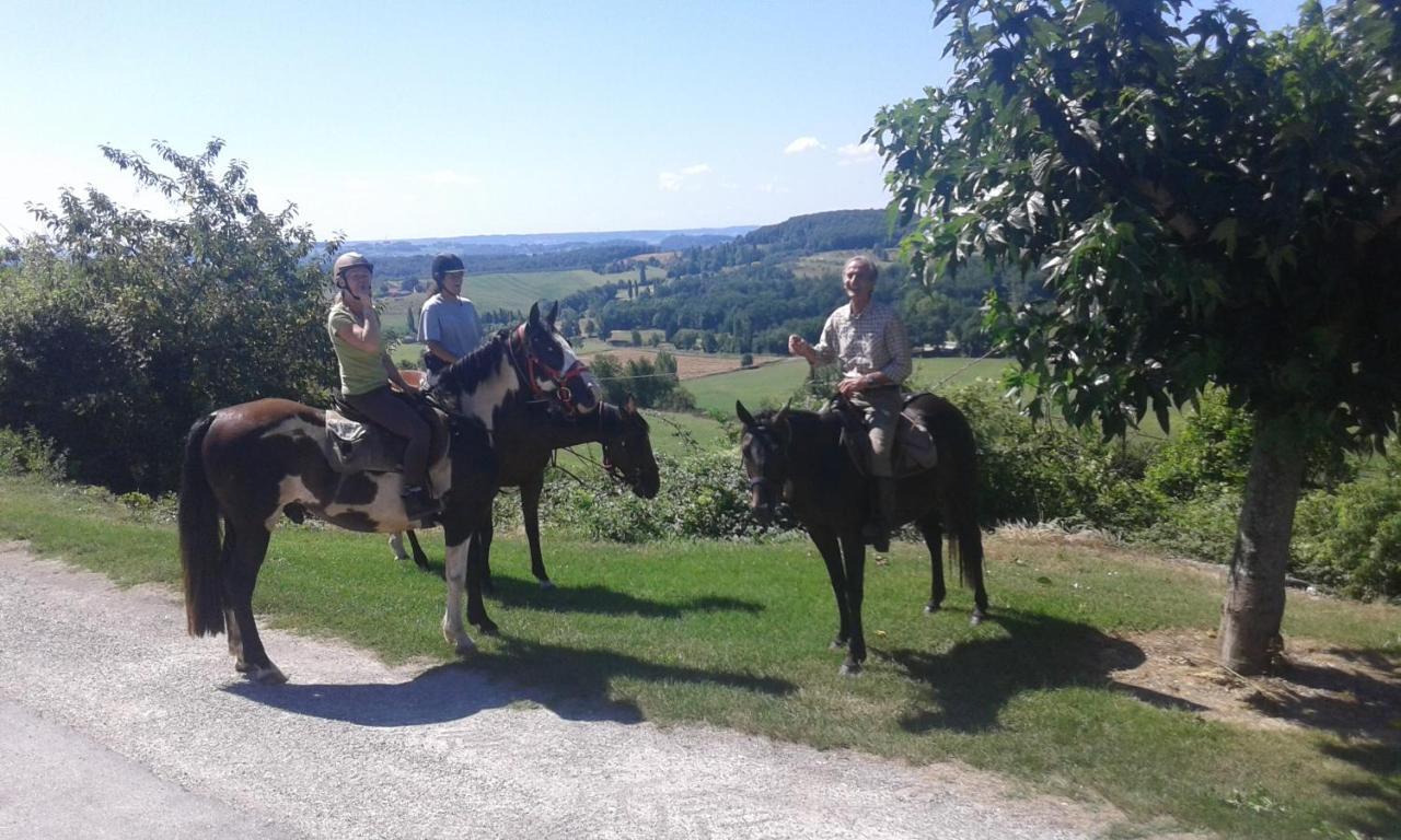 Ferme Equestre Des Abrons Villa Pailloles Exteriör bild